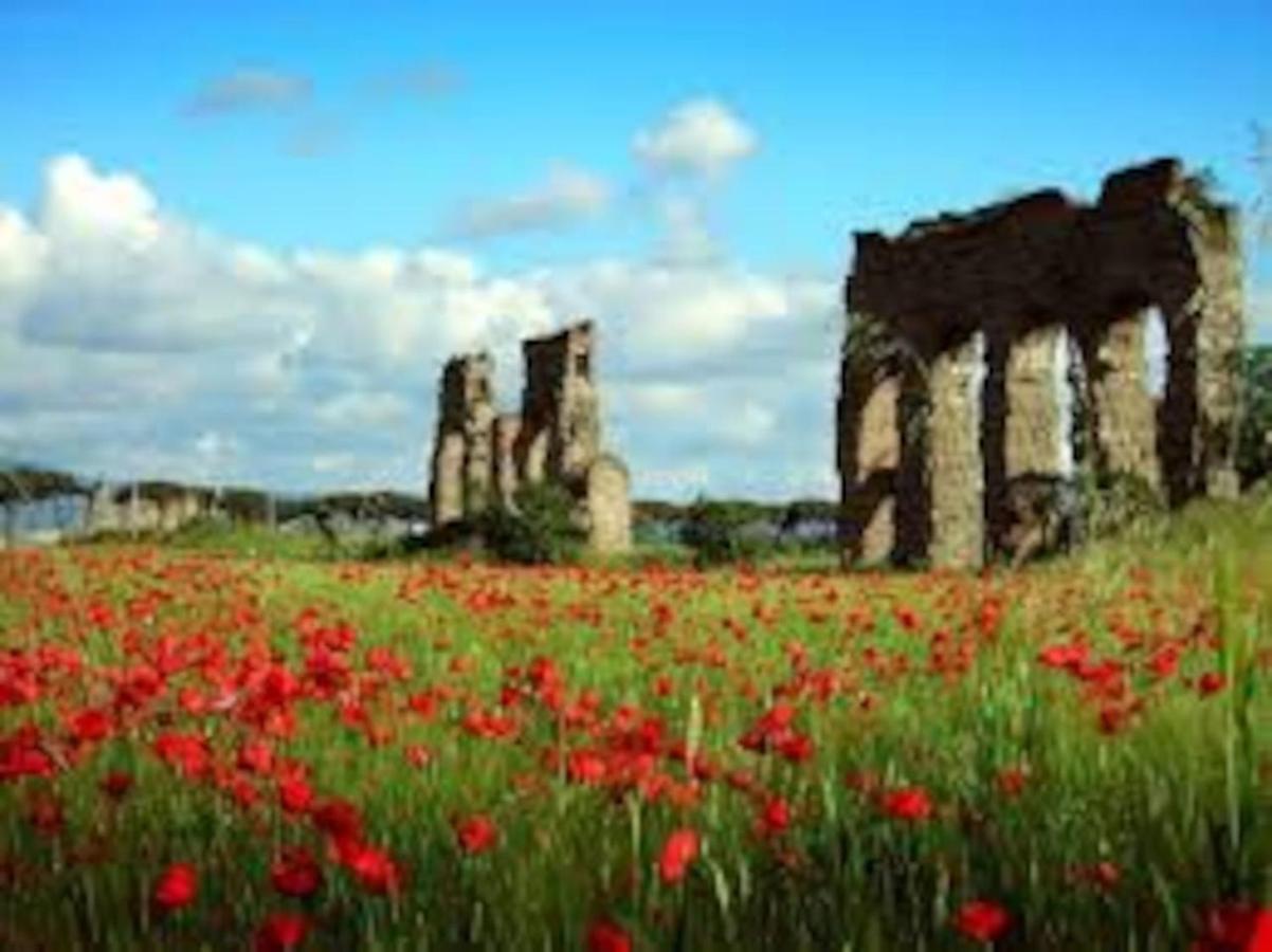 罗马Amazing Appia Antica - Campidoglio公寓 外观 照片